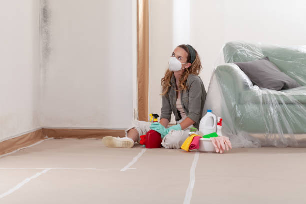 Reliable Basement Mold Removal contractor in Rapidan, VA by WQB Mold Removal